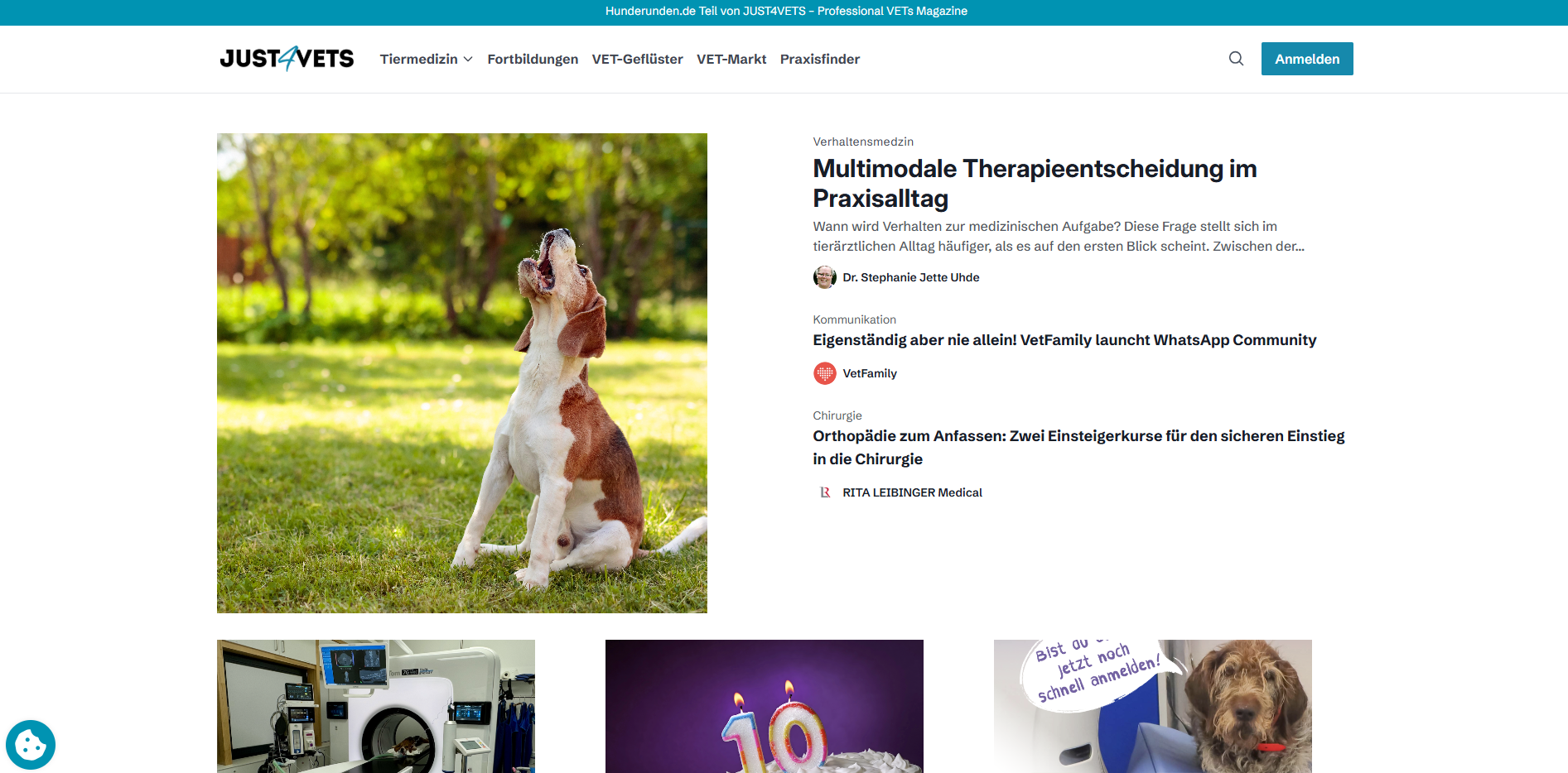 Craft CMS developer Just4Vets